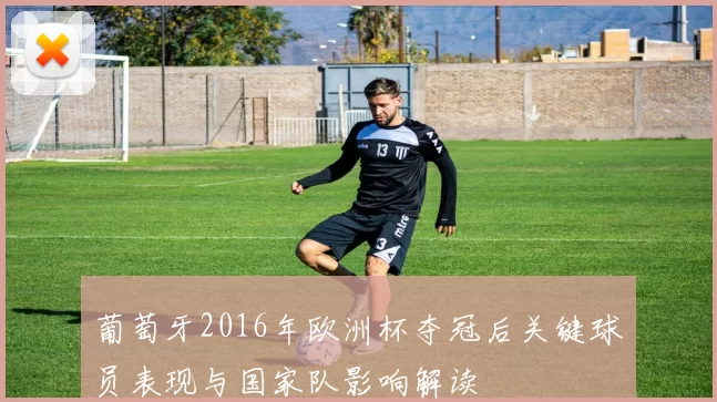 葡萄牙2016年欧洲杯夺冠后关键球员表现与国家队影响解读