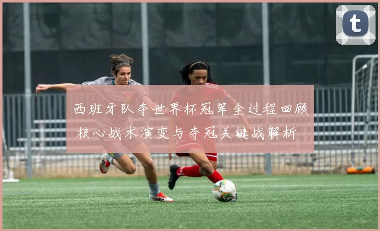 西班牙队夺世界杯冠军全过程回顾 核心战术演变与夺冠关键战解析